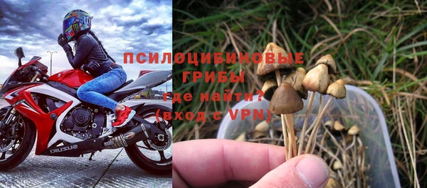 mix Лабытнанги