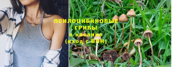 apvp Кукмор