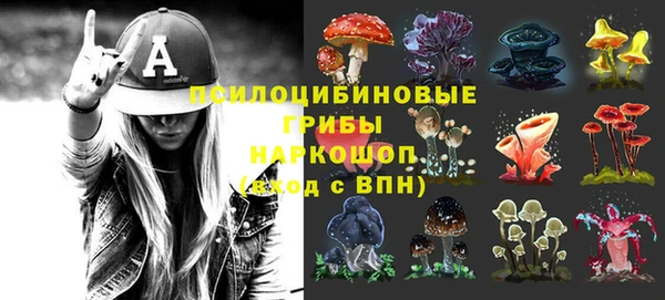гидропоника Липки